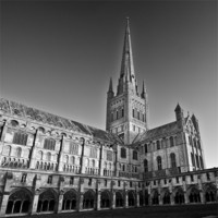 Buy canvas prints of Norwich Cathedral by Stephen Mole