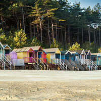 Buy canvas prints of A row of Wells Beach Huts by Stephen Mole