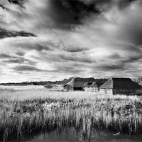 Buy canvas prints of Boat houses at Hickling by Stephen Mole
