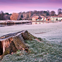 Buy canvas prints of Tree Stump at dawn by Stephen Mole