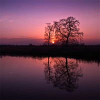 Buy canvas prints of Tree Sunset by Stephen Mole