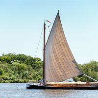 Buy canvas prints of Cream sailed Norfolk Wherry by Stephen Mole