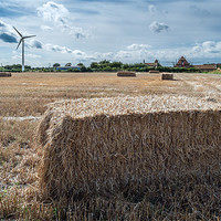 Buy canvas prints of Straw Power by Stephen Mole