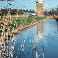 Buy canvas prints of Horsey Mill by Stephen Mole