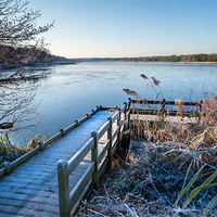Buy canvas prints of Jetty to Rollesby Broad by Stephen Mole