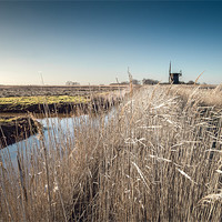 Buy canvas prints of Brograve Mill through the Reeds by Stephen Mole