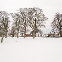 Buy canvas prints of Ormesby Village Green in the Snow by Stephen Mole