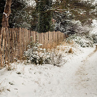 Buy canvas prints of Snowy lane by Stephen Mole