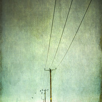 Buy canvas prints of Power lines by Stephen Mole