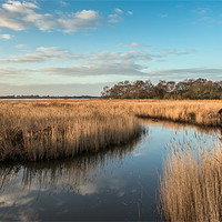 Buy canvas prints of Hickling Broad by Stephen Mole