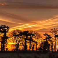 Buy canvas prints of February Sunrise by Stephen Mole