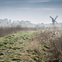 Buy canvas prints of Thurne Mill ahead by Stephen Mole
