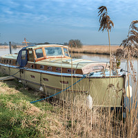 Buy canvas prints of Cruiser in the River Thurne by Stephen Mole