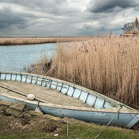 Buy canvas prints of Blue Boat at Stokesby by Stephen Mole