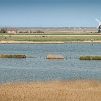 Buy canvas prints of Berney Arms Mill by Stephen Mole