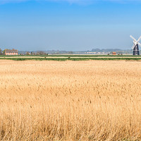 Buy canvas prints of Berney Arms Windmill by Stephen Mole