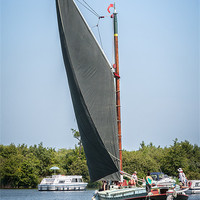 Buy canvas prints of Black Sailed Norfolk Wherry by Stephen Mole