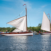 Buy canvas prints of White Sailed Norfolk Wherry by Stephen Mole