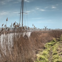 Buy canvas prints of River Bank at Thurne by Stephen Mole