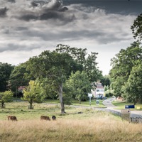 Buy canvas prints of Buckinghamshire Arms by Stephen Mole