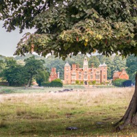 Buy canvas prints of Blickling Hall by a Beech Tree by Stephen Mole
