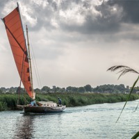 Buy canvas prints of Yachting along the River Thurne by Stephen Mole
