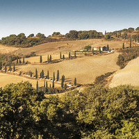 Buy canvas prints of Tuscany by Stephen Mole