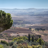 Buy canvas prints of Tuscan Valley by Stephen Mole