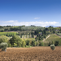 Buy canvas prints of Tuscany Landscape by Stephen Mole