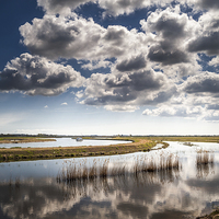Buy canvas prints of River Bure on the Norfolk Broads by Stephen Mole