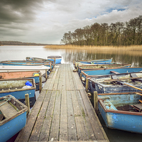 Buy canvas prints of Filby Broad by Stephen Mole