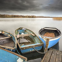 Buy canvas prints of Boats at Filby Broad by Stephen Mole