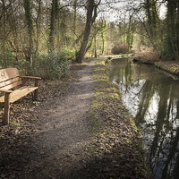 Buy canvas prints of Bench at Fairhaven Trust by Stephen Mole