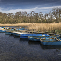 Buy canvas prints of Moored dinghies at Filby Broad by Stephen Mole