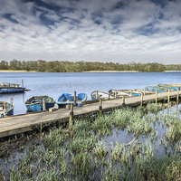 Buy canvas prints of Moored at Filby Broad by Stephen Mole