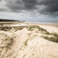 Buy canvas prints of Holkham Beach and Woods by Stephen Mole