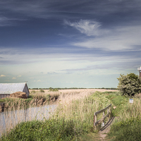 Buy canvas prints of Windmill at Martham Broad by Stephen Mole