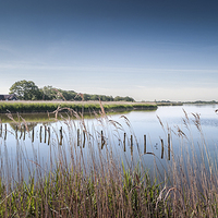 Buy canvas prints of Hickling Broad by Stephen Mole