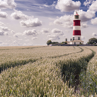Buy canvas prints of Tracks to Happisburgh Lighthouse by Stephen Mole