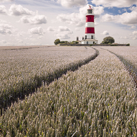 Buy canvas prints of  Tracks to Happisburgh Lighthouse by Stephen Mole