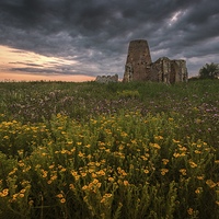 Buy canvas prints of Wild Flowers at St Benets Abbey in Norfolk by Stephen Mole