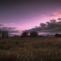 Buy canvas prints of  Purple Dawn at St Benet's Abbey by Stephen Mole