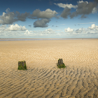 Buy canvas prints of  Stumps on Brancaster Beach by Stephen Mole