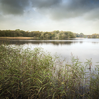 Buy canvas prints of  Ormesby Broad by Stephen Mole