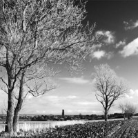 Buy canvas prints of Looking across the fields  towards Winterton, Norf by Stephen Mole
