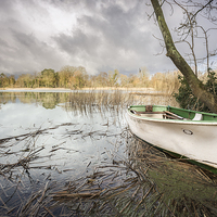 Buy canvas prints of  Boat at South Walsham Broad by Stephen Mole