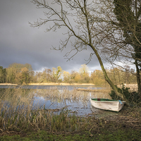 Buy canvas prints of  Moored at South Walsham Broad by Stephen Mole