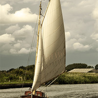 Buy canvas prints of Sailing head on by Stephen Mole