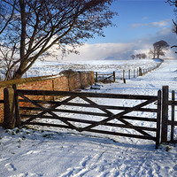Buy canvas prints of 5 bar gate in snow by Stephen Mole