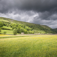 Buy canvas prints of  Buttercups over Muker by Stephen Mole
